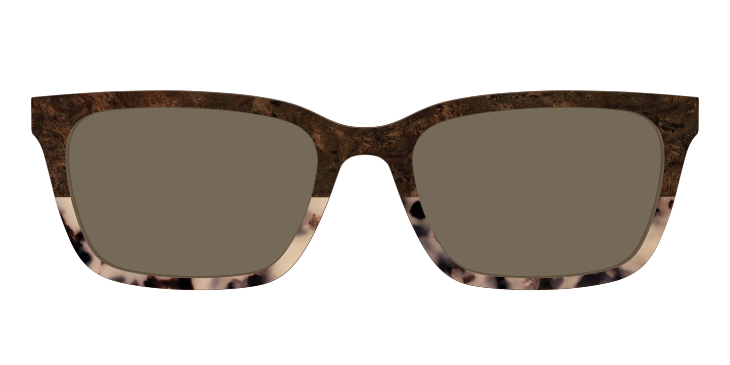 The Polarized Dark Oak Tortoise Split Sun Top