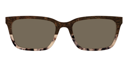 The Polarized Dark Oak Tortoise Split Sun Top