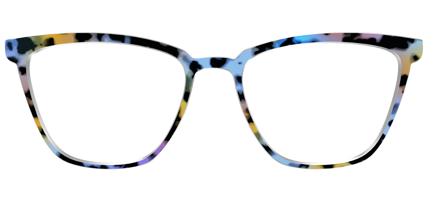 The Positano Tortoise