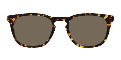 The Non-Polarized Tortoise Sun Top