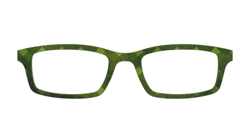 The Olive Geo