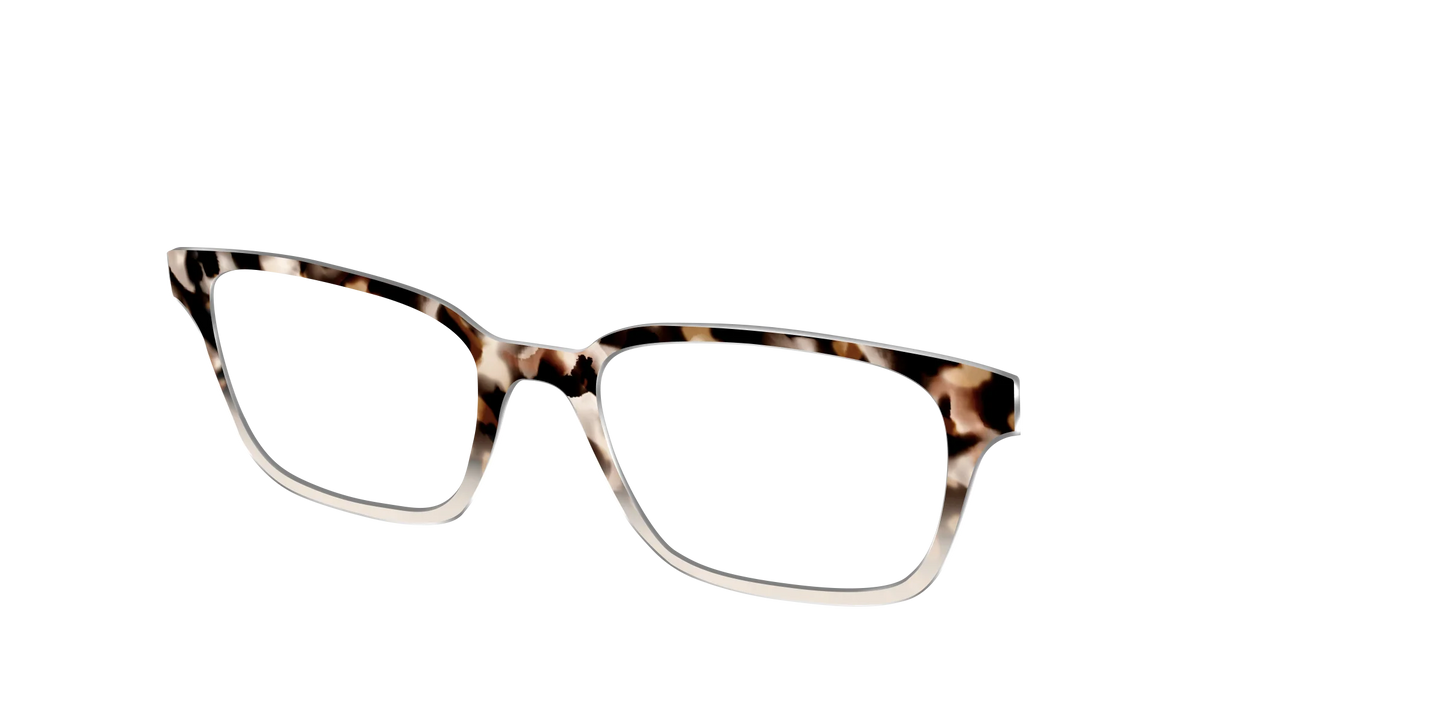 The Vanilla Latte Tortoise
