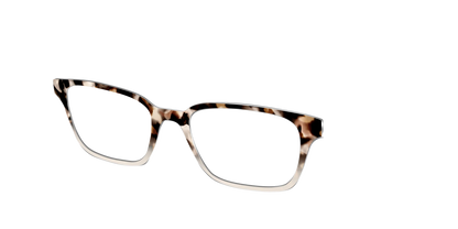 The Vanilla Latte Tortoise