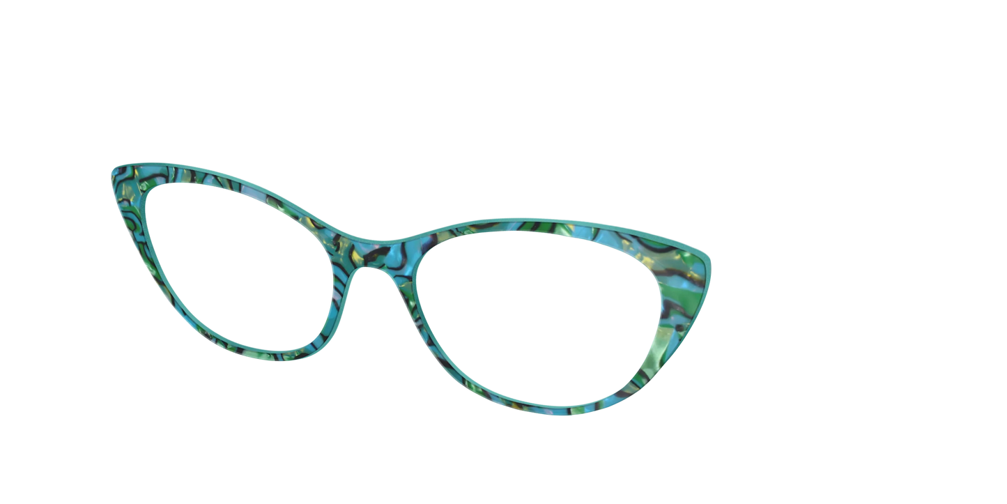 The Teal Turbo Shell