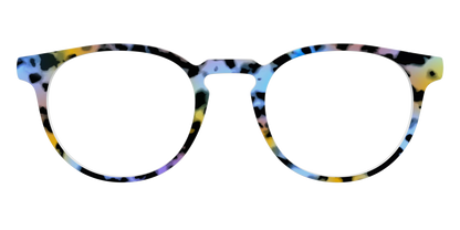 The Positano Tortoise