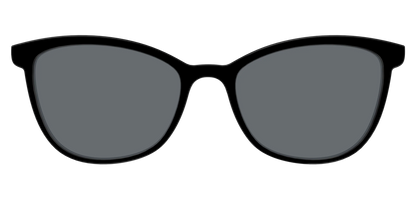The Polarized Black Sun Top