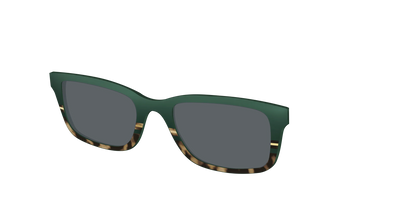 The Polarized Spruce Tortoise Sun Top