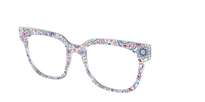 The Picnic Paisley