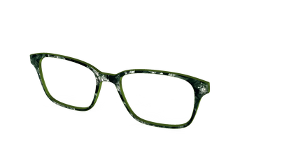 The Olive Pearl Tortoise