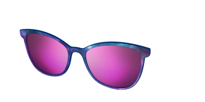 The Polarized Galaxy Sun Top