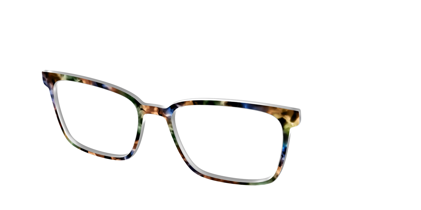 The Hearthside Tortoise