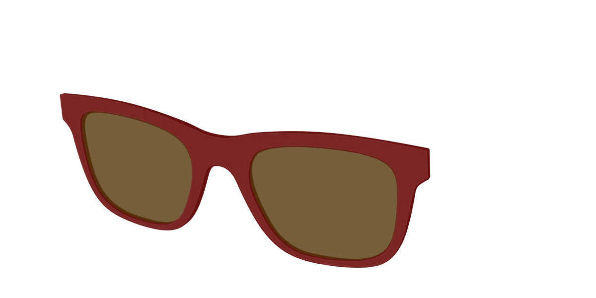The Polarized Burgundy Sun Top