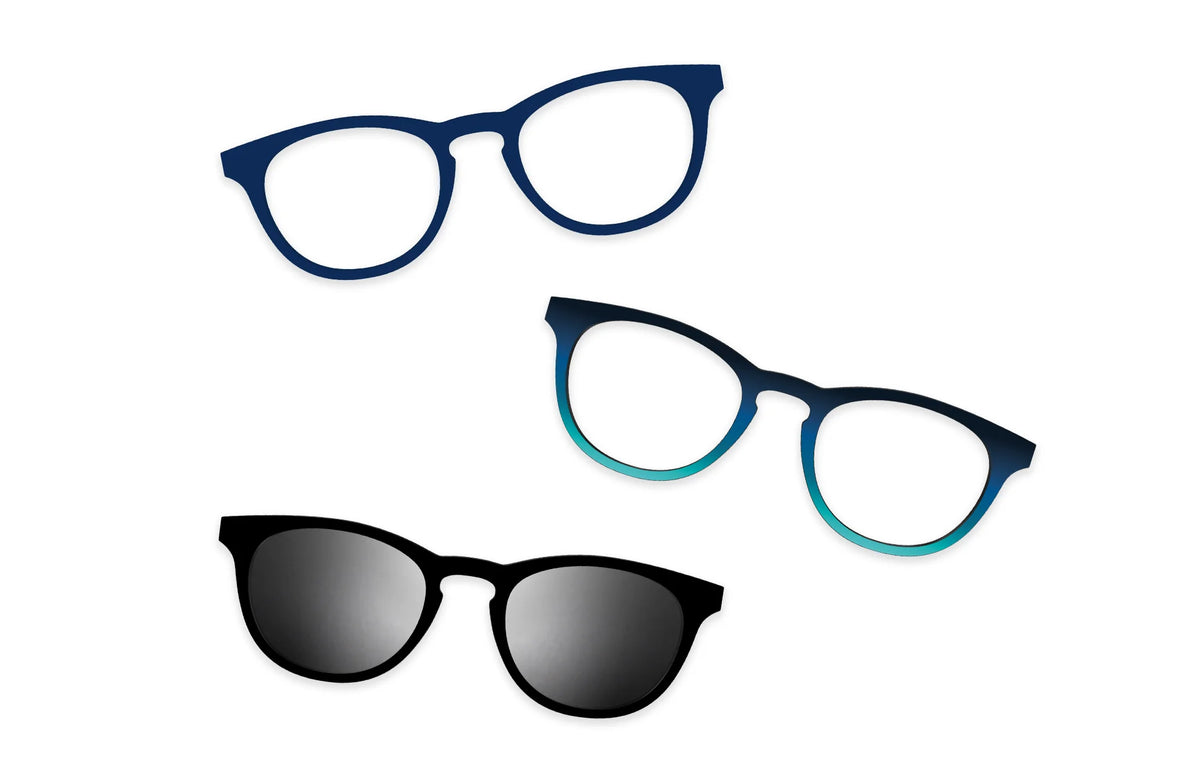 Blue Tortoise - Set