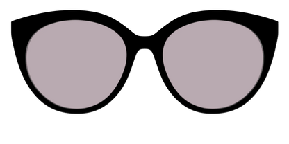 The Black with Gray Gaming Lens