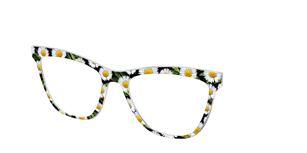 The Delicate Daisies