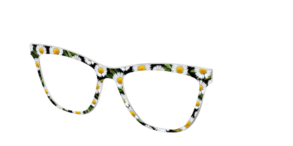 The Delicate Daisies
