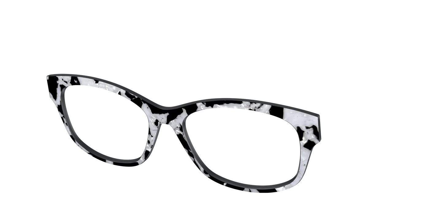 The Black & White Pearl Tortoise