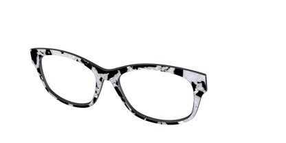 The Black & White Pearl Tortoise