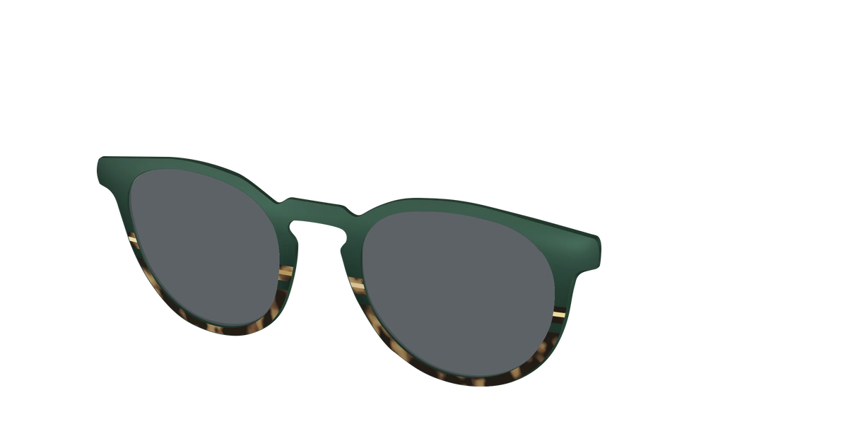 The Polarized Spruce Tortoise Sun Top