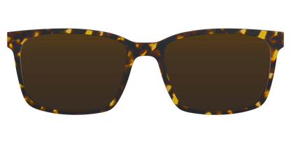 The Polarized Tortoise Sun Top