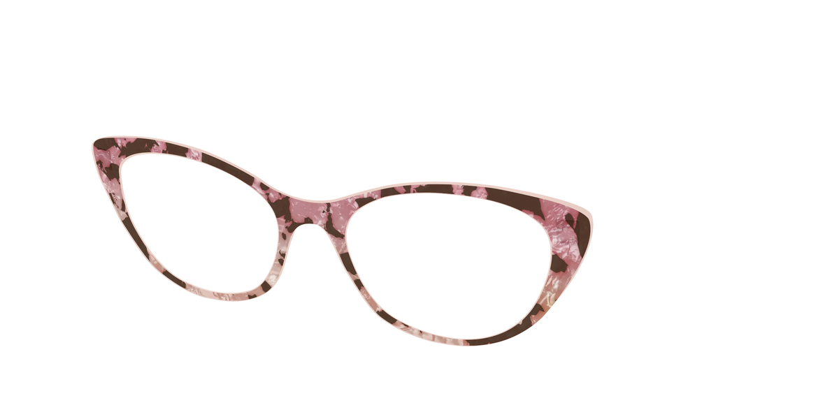 The Pale Peach Pearl Tortoise