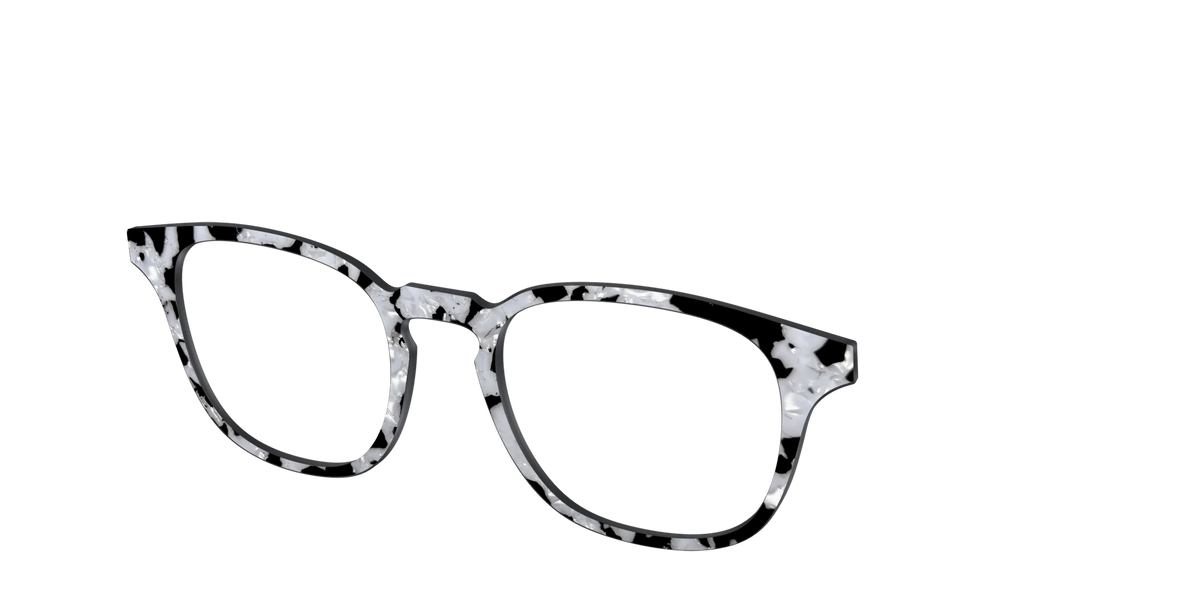 The Black & White Pearl Tortoise
