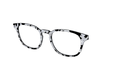 The Black & White Pearl Tortoise