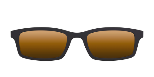 The Polarized Gold Reflective Sun Top