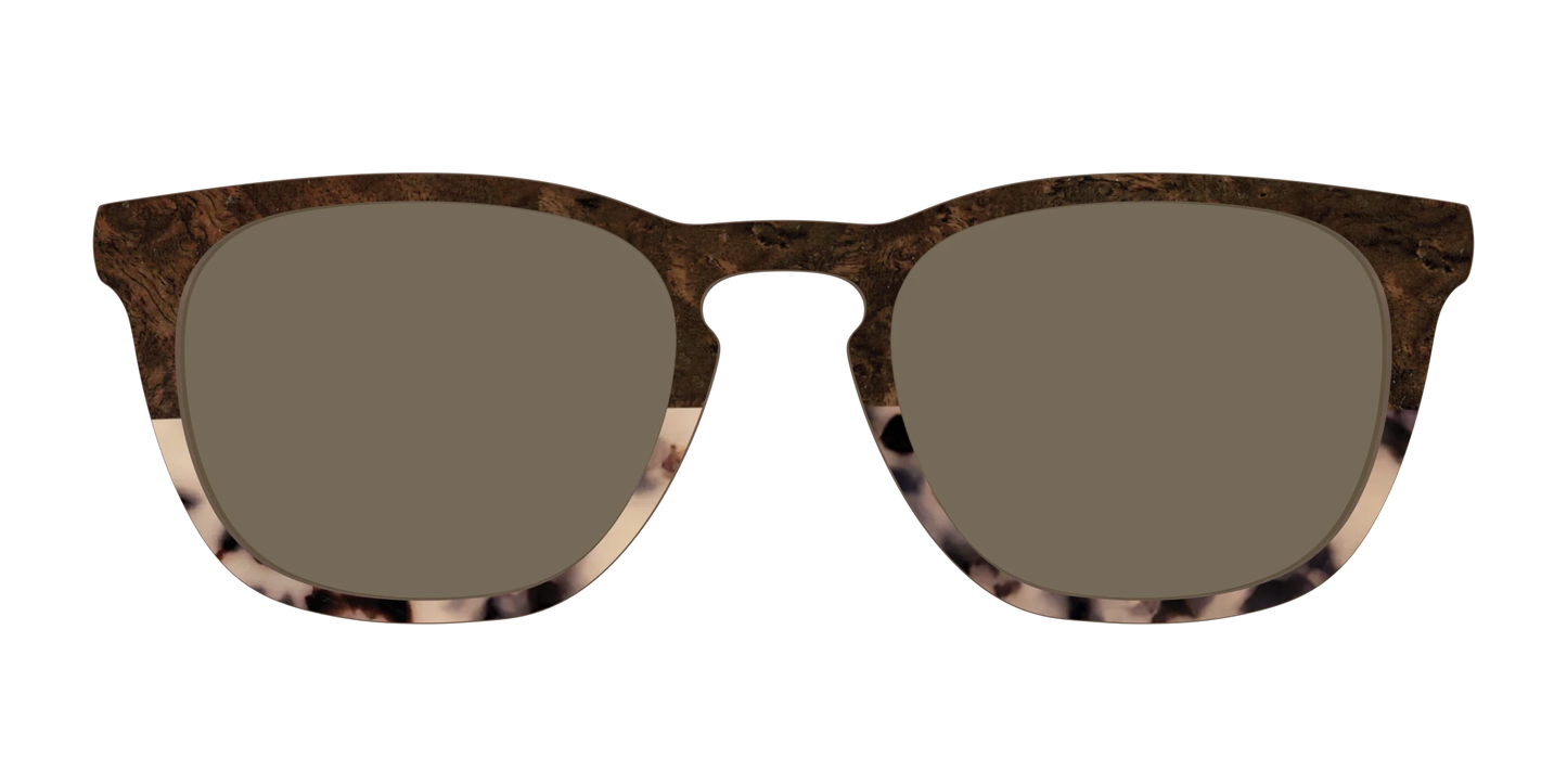 The Polarized Dark Oak Tortoise Split Sun Top
