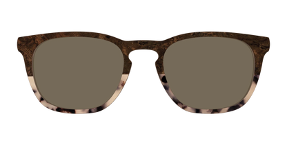 The Polarized Dark Oak Tortoise Split Sun Top