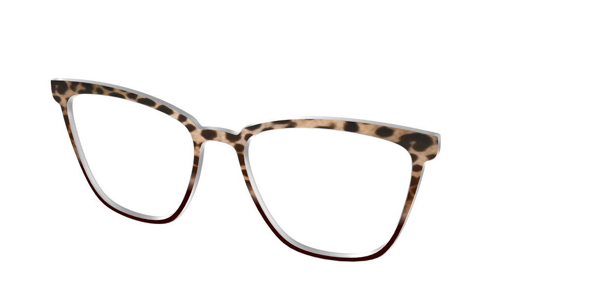 The Jungle Cat Tortoise
