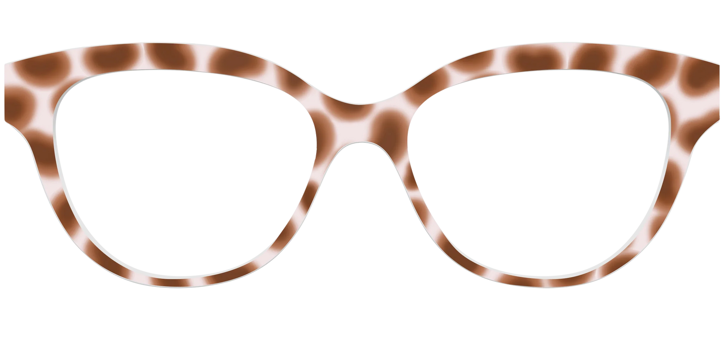 The Caffé Tortoise