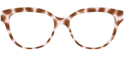 The Caffé Tortoise