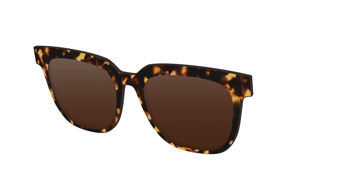 The Polarized Tortoise Sun Top