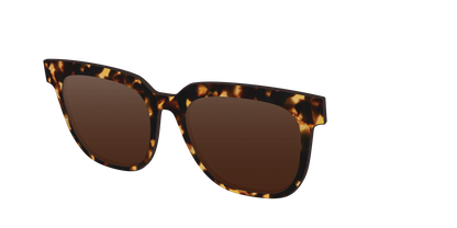 The Polarized Tortoise Sun Top