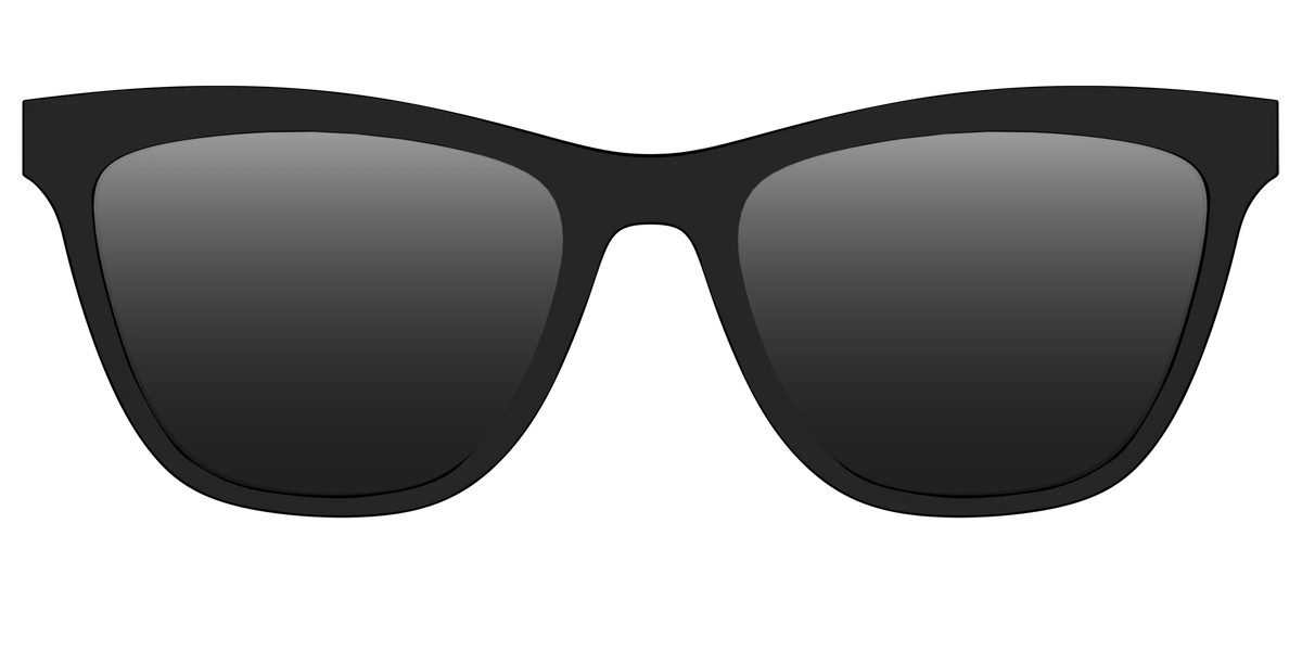 The Polarized Black Sun Top