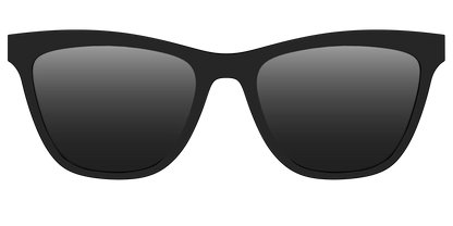 The Polarized Black Sun Top