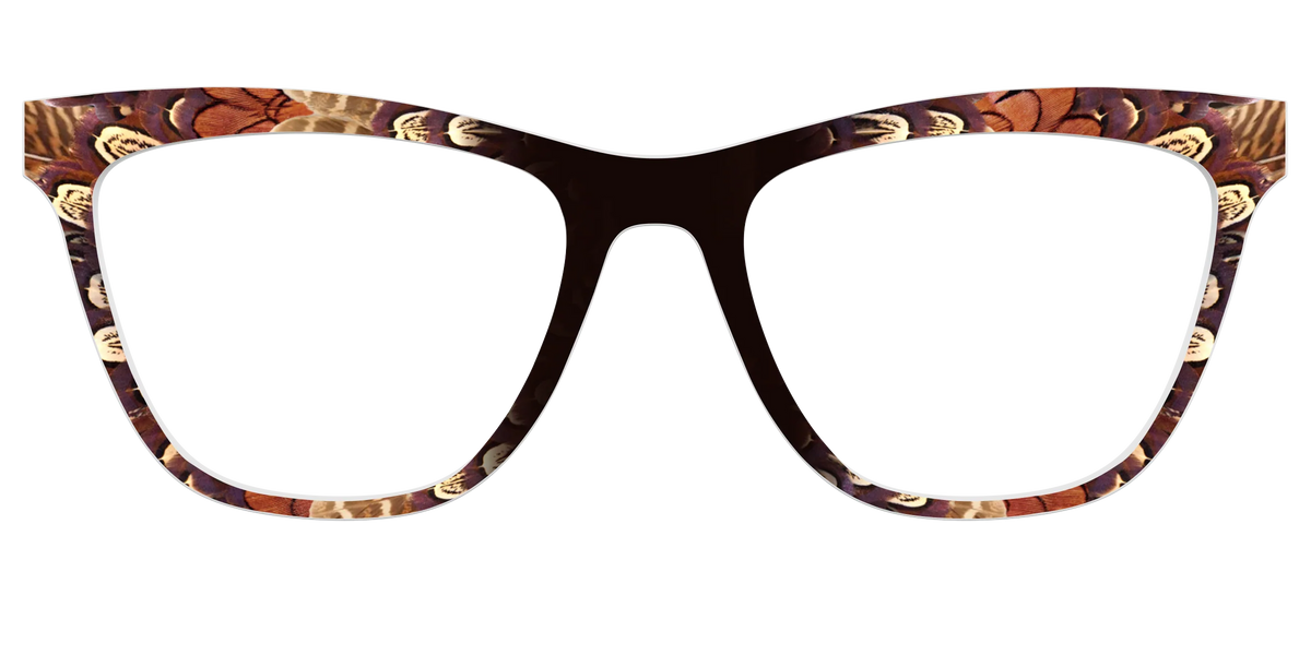 The Pheasant Feathers