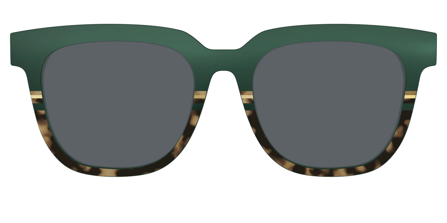 The Polarized Spruce Tortoise Sun Top