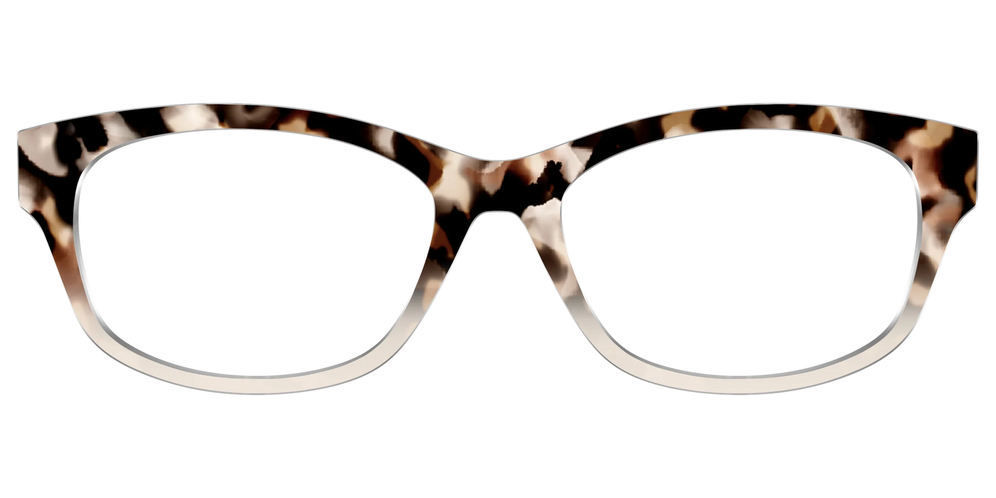 The Vanilla Latte Tortoise