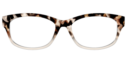 The Vanilla Latte Tortoise