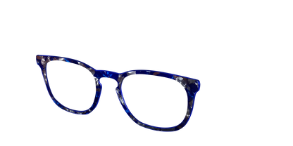 The Admiral Blue Pearl Tortoise