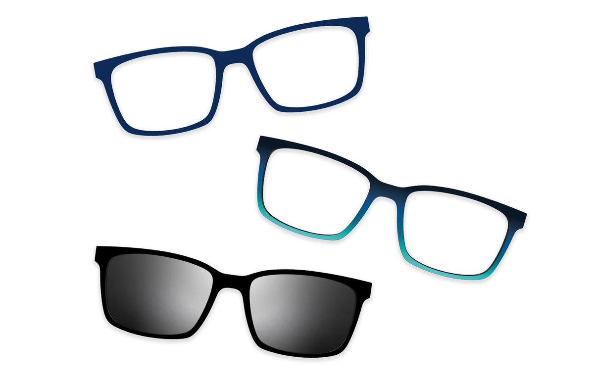 Blue Tortoise - Set