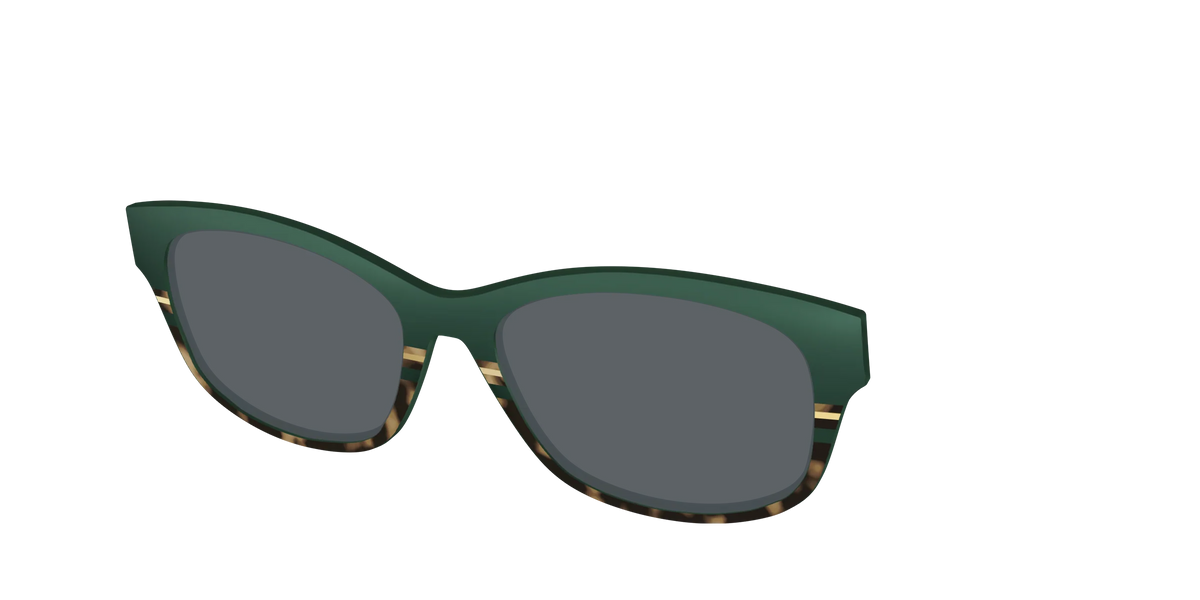 The Polarized Spruce Tortoise Sun Top