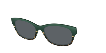 The Polarized Spruce Tortoise Sun Top