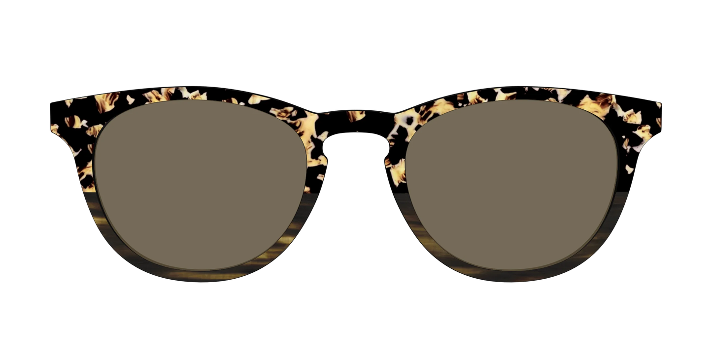 The Polarized Caramel Tortoise Horn Split Sun Top