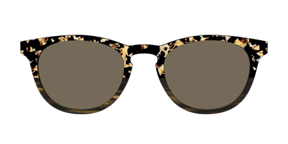 The Polarized Caramel Tortoise Horn Split Sun Top