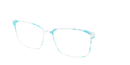The Blue Sky Pearl Tortoise