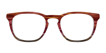 The Auburn Gradient Horn