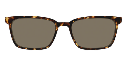 The Non-Polarized Tortoise Sun Top